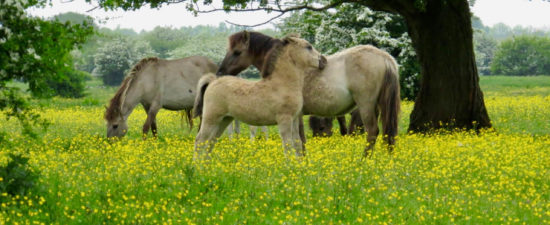 IMG_2498 IMG_2498