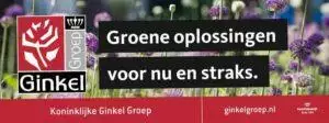 Ginkel